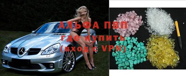 бошки Белокуриха
