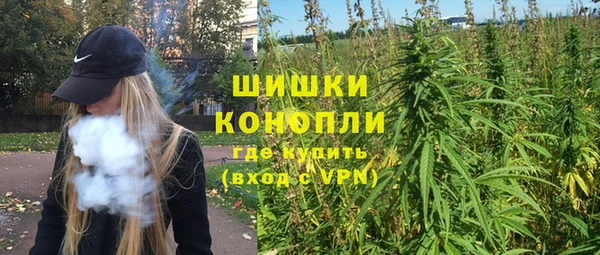 бошки Белокуриха