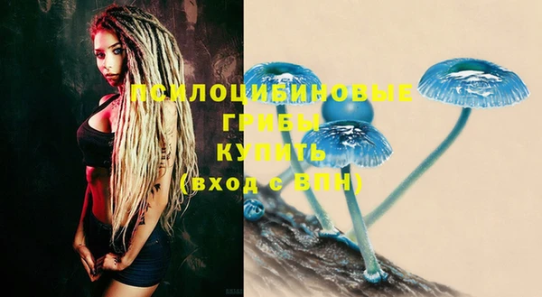 бошки Белокуриха