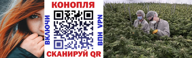 где найти наркотики Мурманск Шишки марихуана марихуана